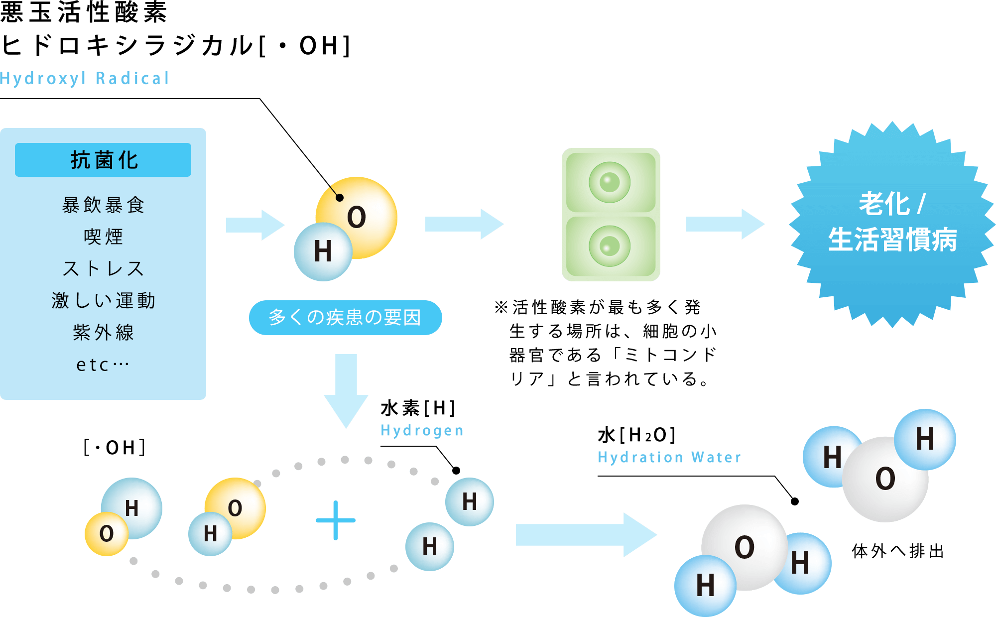 水素活性酸素除去図